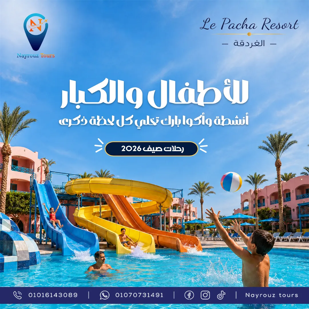عنبر للهوية البصرية 26
